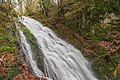 image=https://commons.wikimedia.org/wiki/File:Breitnau_-_Bistenbach-Wasserfall.jpg