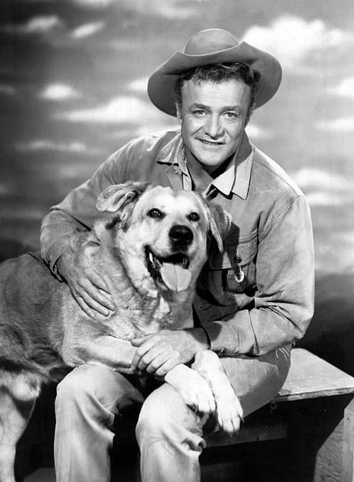 Brian Keith with Spike in The Westerner (1960)