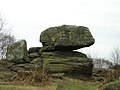 Brimham Rocks - Sphinx^ - geograph.org.uk - 445088.jpg