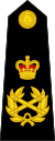 Brit Királyi Tengerészgyalogság OF-10.svg