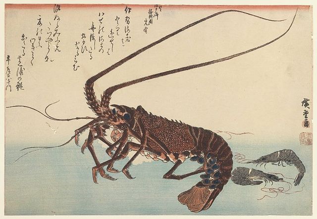Crayfish Trap – Hunted Treasures