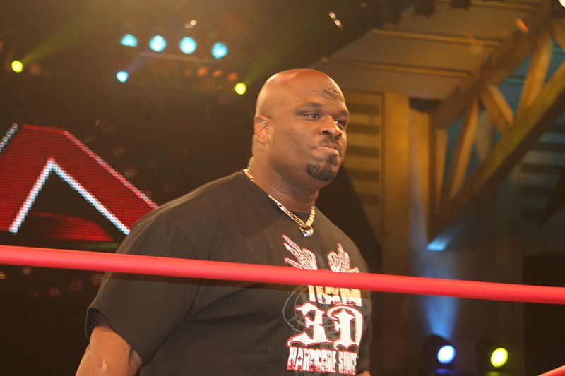 File:Brother Devon TNA 2010.jpg