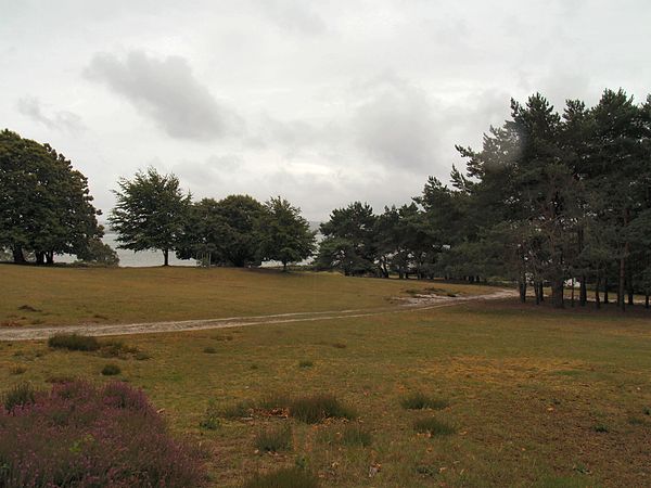 Site of the camping area on Brownsea Island