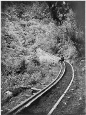 Bush trem menunjukkan kayu rel, di Akatarawa, Harga semak-Semak, sekitar tahun 1903 ATLIB 336634.png