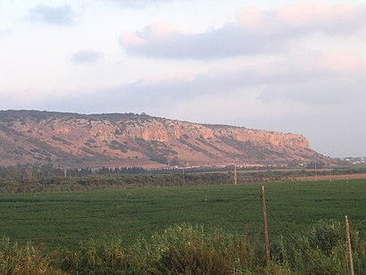 איך מגיעים באמצעות תחבורה ציבורית  להכרמל? - מידע על המקום