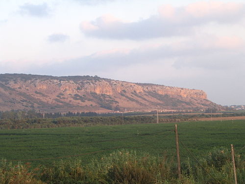 Mount Carmel things to do in Zichron Yaakov