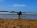 Camel on the beach, Essaouira, Morocco.jpg