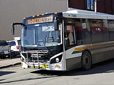 Transit Cape Breton bus Cape-breton-transit-bus.jpg