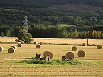 Steinkreise von Carse Farm