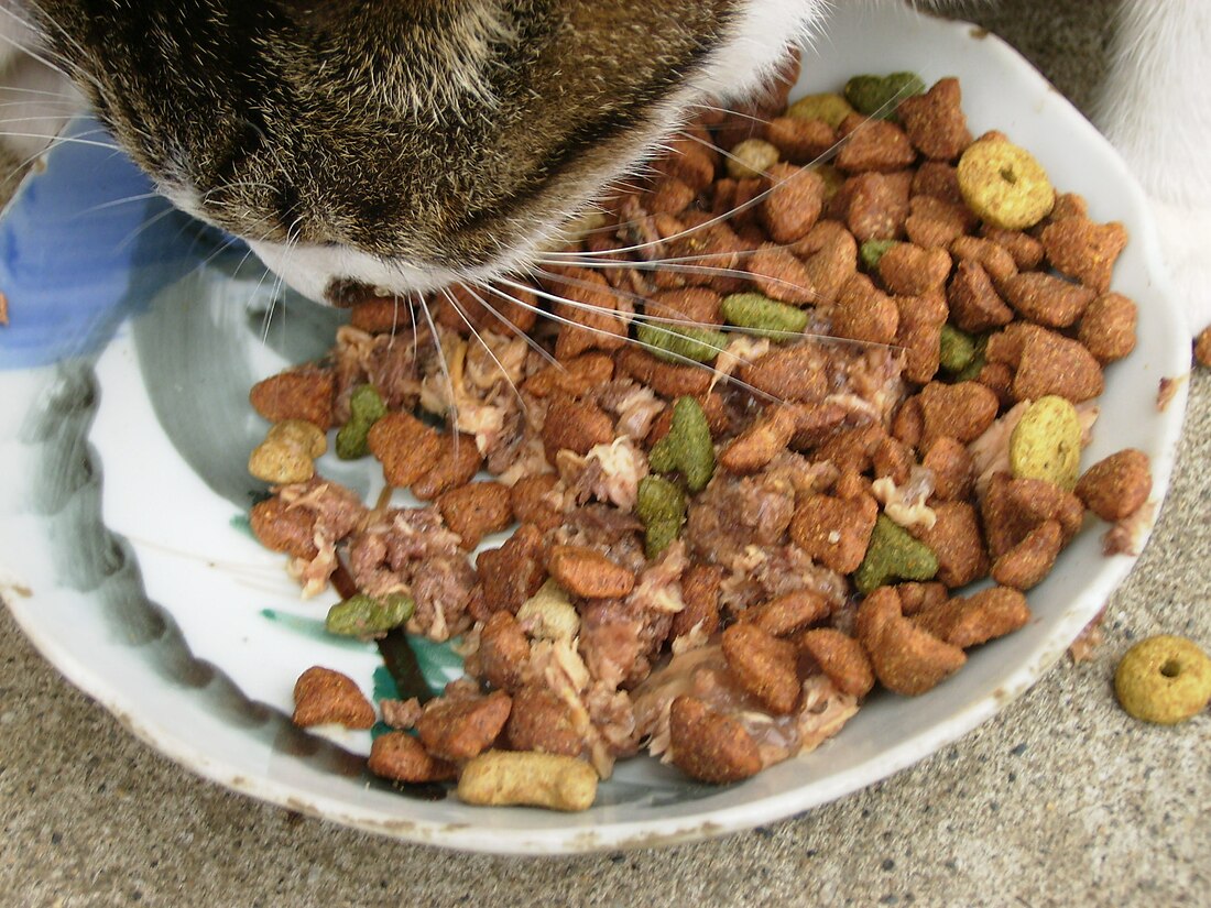 Cat food