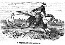 Mesteneros were Charros who hunted Mesteno or "mustang" horses, wild horses that lived in northern Mexico and what is now the American southwest, to later sell them in the cities. Cazando caballos Mestenos en Mexico (1848).jpg