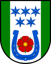 Escudo de Vitín