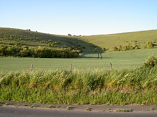 Scratchbury and Cotley Hills SSSI