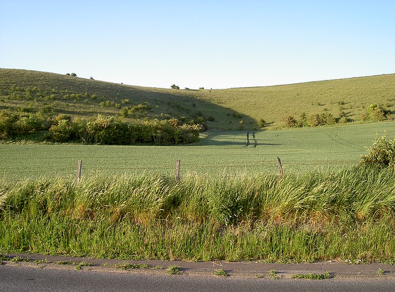 File:Cotley Hill (geograph 1900204).jpg