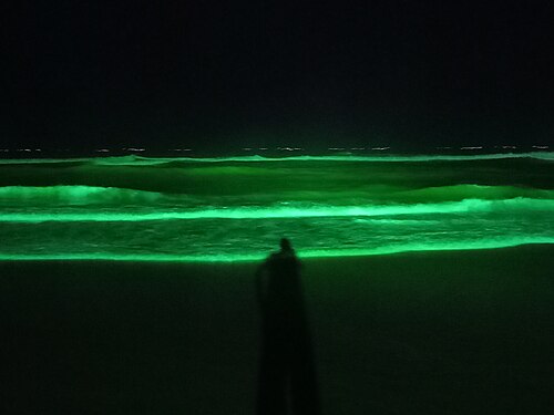 Cox's Bazar Sea Beach at night