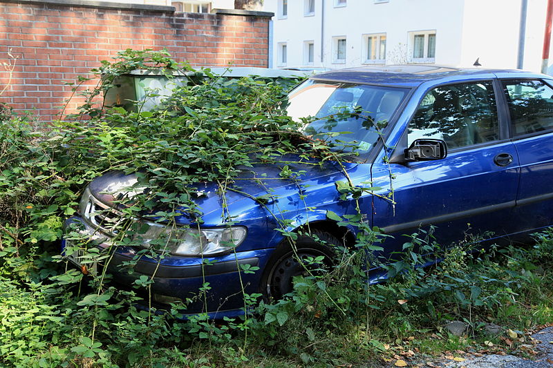 File:Düsseldorf Urdenbach - Urdenbacher Dorfstraße 03 ies.jpg