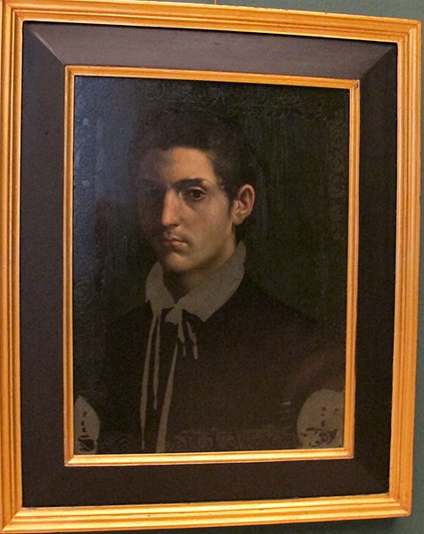 File:Daniele da volterra, ritratto di giovane, 1540-60 ca., Q752.JPG