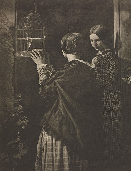 File:David Octavius Hill - Camera Work- The Bird-Cage - 1995.199.28.b - Cleveland Museum of Art.jpg