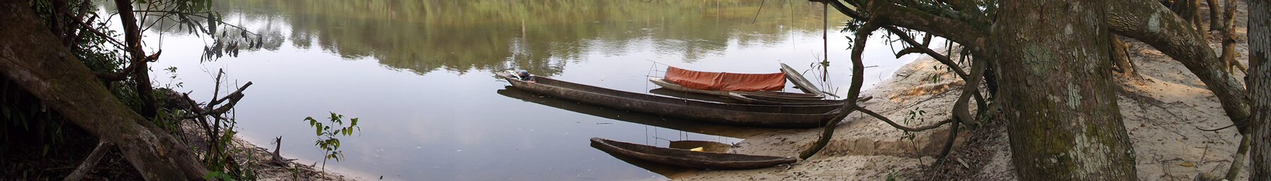 Bandiera della Repubblica Democratica del Congo Campo Katopa sul fiume Lomami.jpg