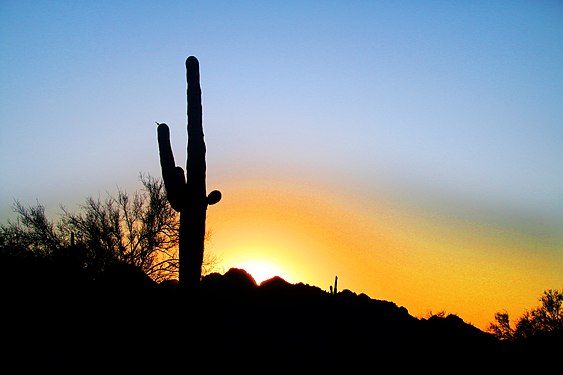 Desert sunset, Phoenix, AZ