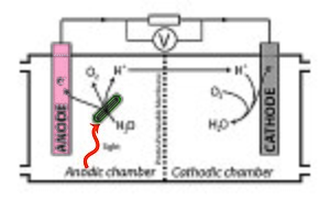 BPV system operation