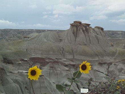 Dinosaur Provincial Park