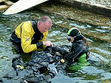 Rescue training exercise Diver rescue - beaching.JPG