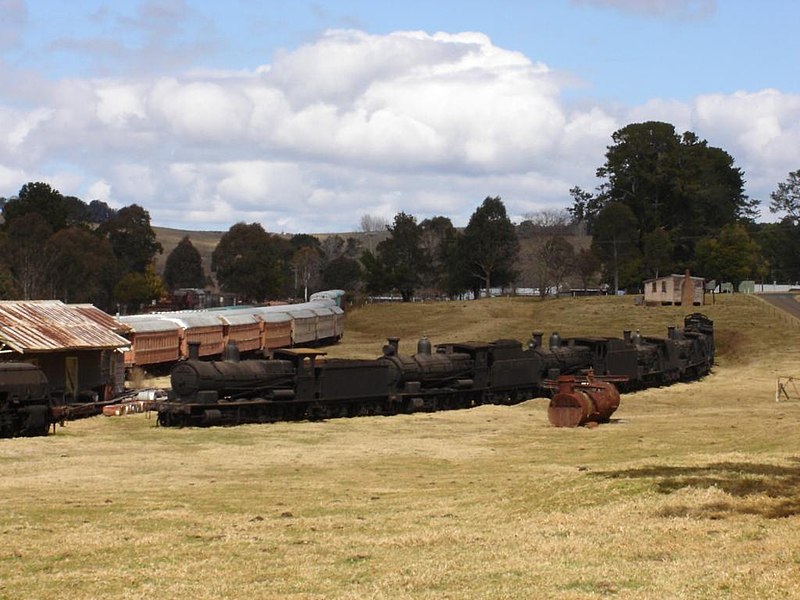 File:Dorrigo Steam Trains.JPG