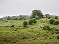 * Nomination Mountain pastures "Raso de Zezama", near the Opakua mountain pass. Hawthorns and beeches. Álava, Basque Country, Spain --Basotxerri 08:33, 8 July 2018 (UTC) * Promotion  Support Good quality. --Poco a poco 08:46, 8 July 2018 (UTC)