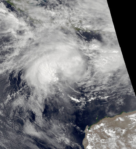 1981–82 Australian region cyclone season