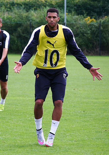 File:Etienne Capoue.jpg