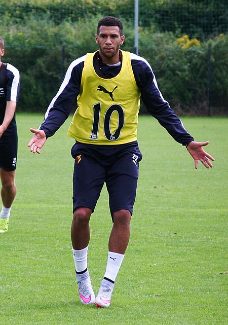 Étienne Capoue