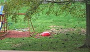 Thumbnail for File:European Starling Common Starlings Sturnus Vulgaris Flock.jpg