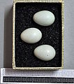 ביצים, אוסף מוזיאון ויסבאדן