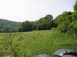 <span class="mw-page-title-main">Alkham, Lydden and Swingfield Woods</span>