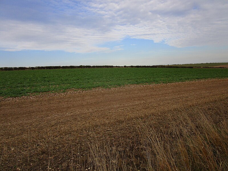 File:Field near Field House Farm - geograph.org.uk - 5937602.jpg