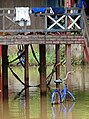 Flooded Property with Bicycle - Stung Treng - Cambodia (48444456771).jpg