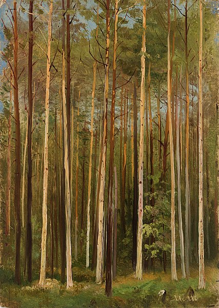 File:Forest (Shishkin).jpg