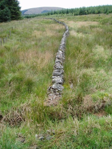 File:Forest Dyke, Auchrae Forest. - geograph.org.uk - 530105.jpg