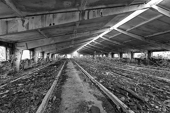 Former cowshed.Ukraine