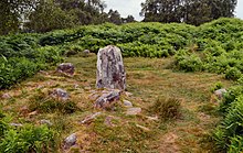 Froggatt Edge (Stoke Flat) stone circle (2).jpg