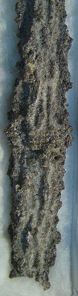 File:Fulgurite1.jpg