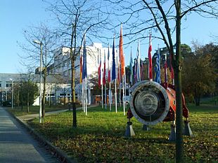L'ingresso della GSI con le bandiere dei paesi partecipanti alla collaborazione FAIR