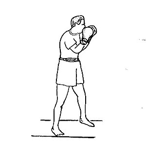 Boxa: Història, Combats, Boxa professional i boxa amateur