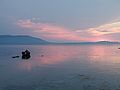 Vignette pour Réserve naturelle de l'île de Varano