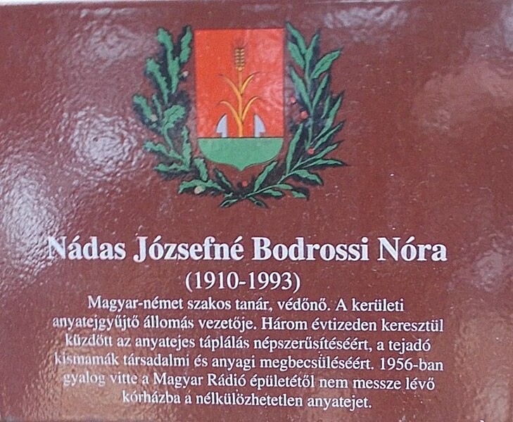 File:Gedenktafel Frau József Nádas (Nóra Bodrossi), 2021 Rákospalota.jpg