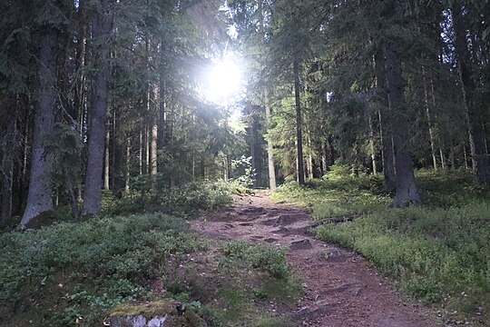 Тропа на геостанции ночью