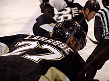 Laraque with the Penguins in April 2008