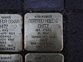 image=File:Gertrud_Helene_Chitz_Stolperstein_Dresden.JPG