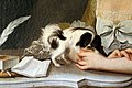 Giuseppe antonio fabbrini, ritratto della granduchessa maria luisa di borbone, 1770-80 ca., 02 cagnolino.jpg